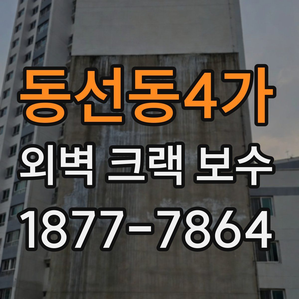동선동4가 외벽 크랙 보수