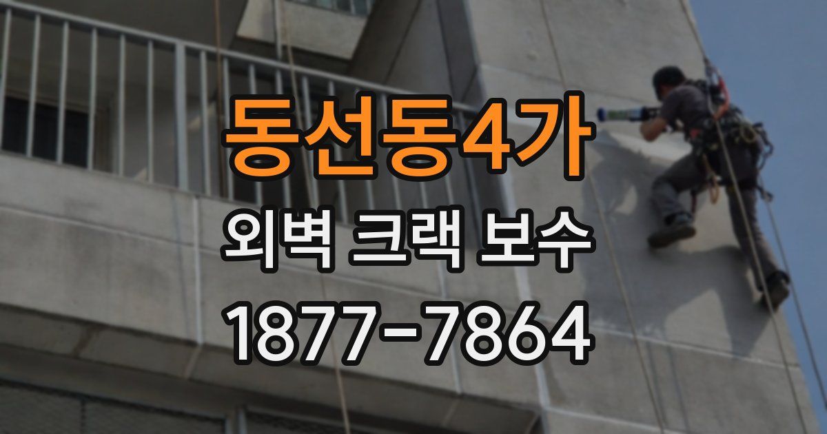 동선동4가 외벽 크랙 보수