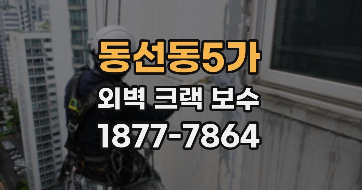 동선동5가 외벽 크랙 보수