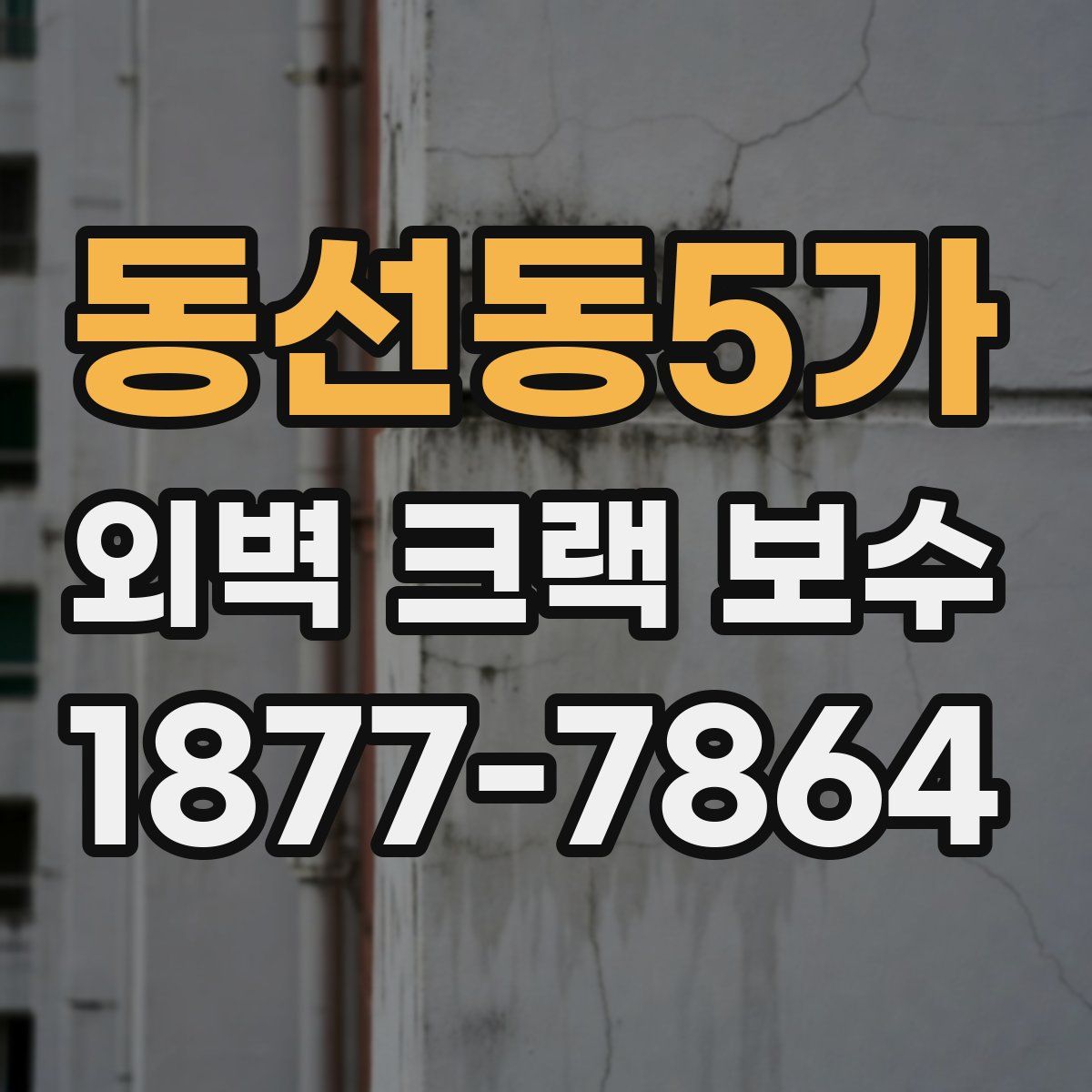 동선동5가 외벽 크랙 보수