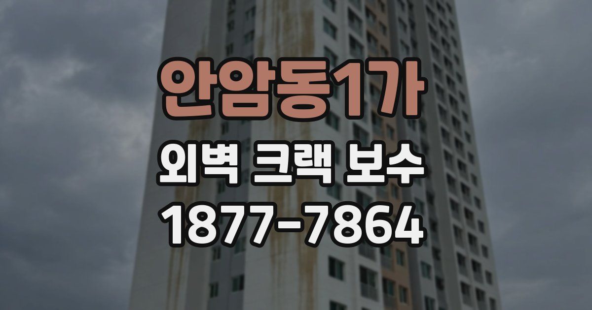 안암동1가 외벽 크랙 보수