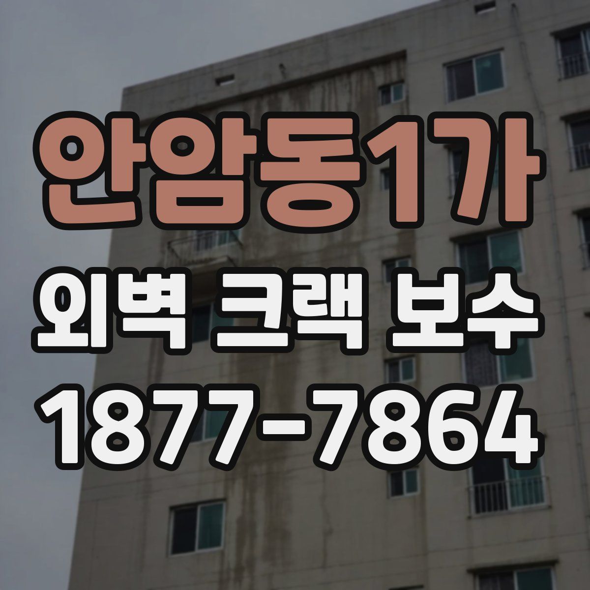 안암동1가 외벽 크랙 보수