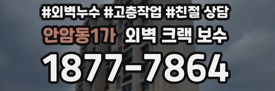안암동1가 외벽 크랙 보수