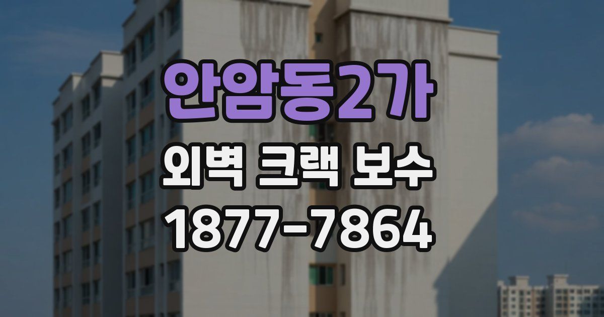 안암동2가 외벽 크랙 보수