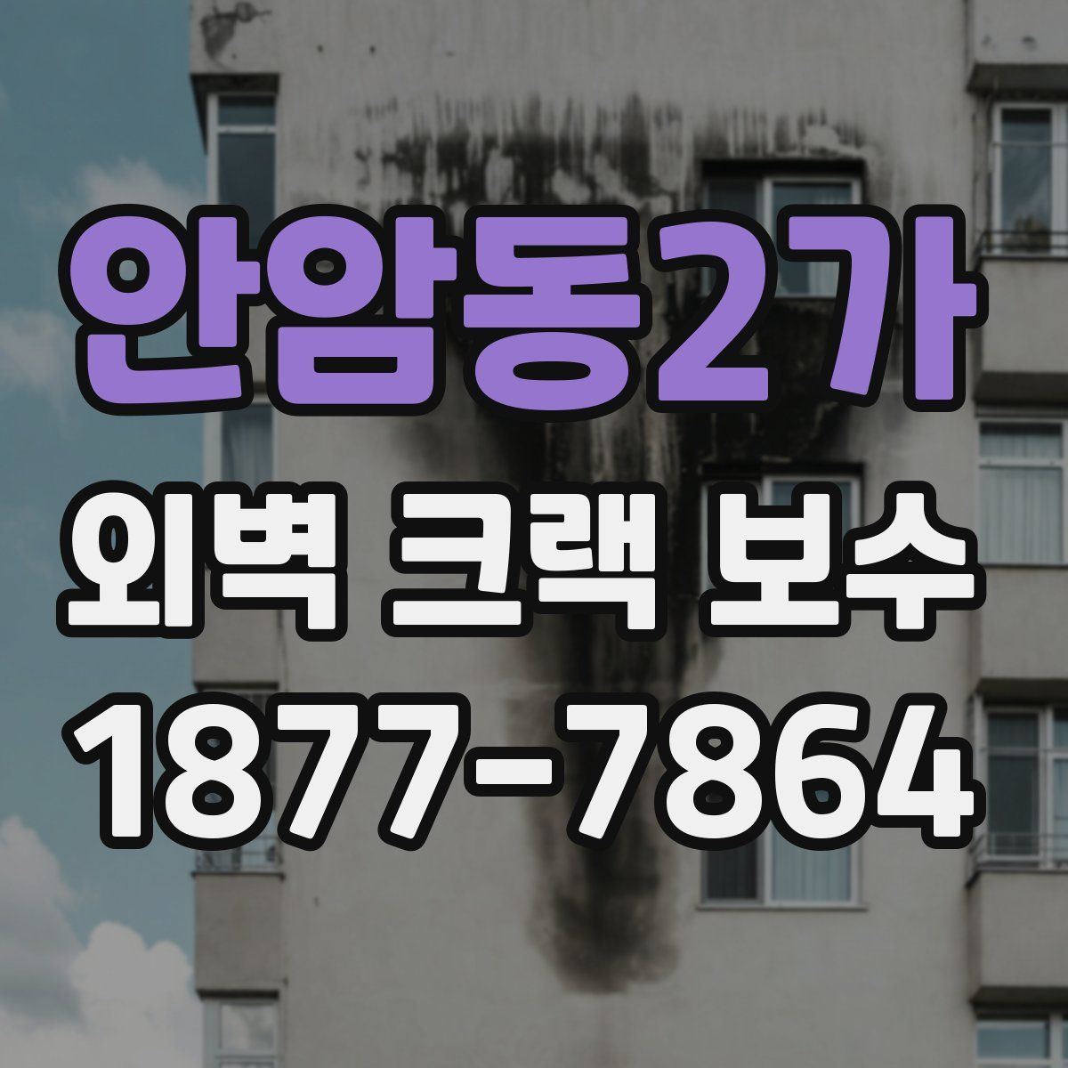 안암동2가 외벽 크랙 보수