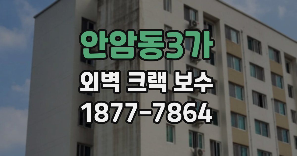 안암동3가 외벽 크랙 보수