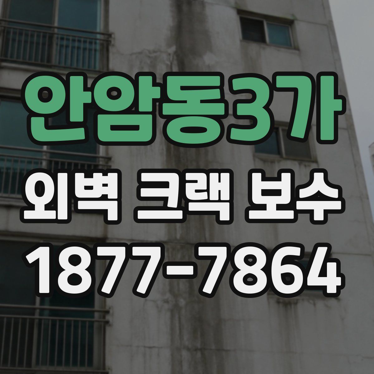 안암동3가 외벽 크랙 보수