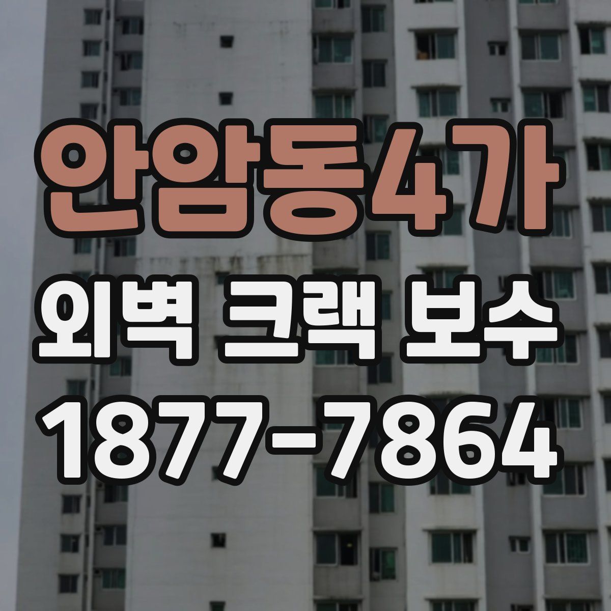 안암동4가 외벽 크랙 보수