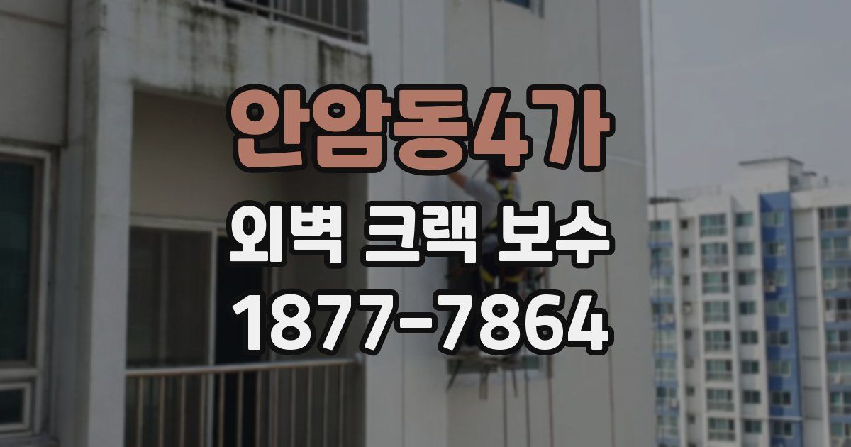 안암동4가 외벽 크랙 보수