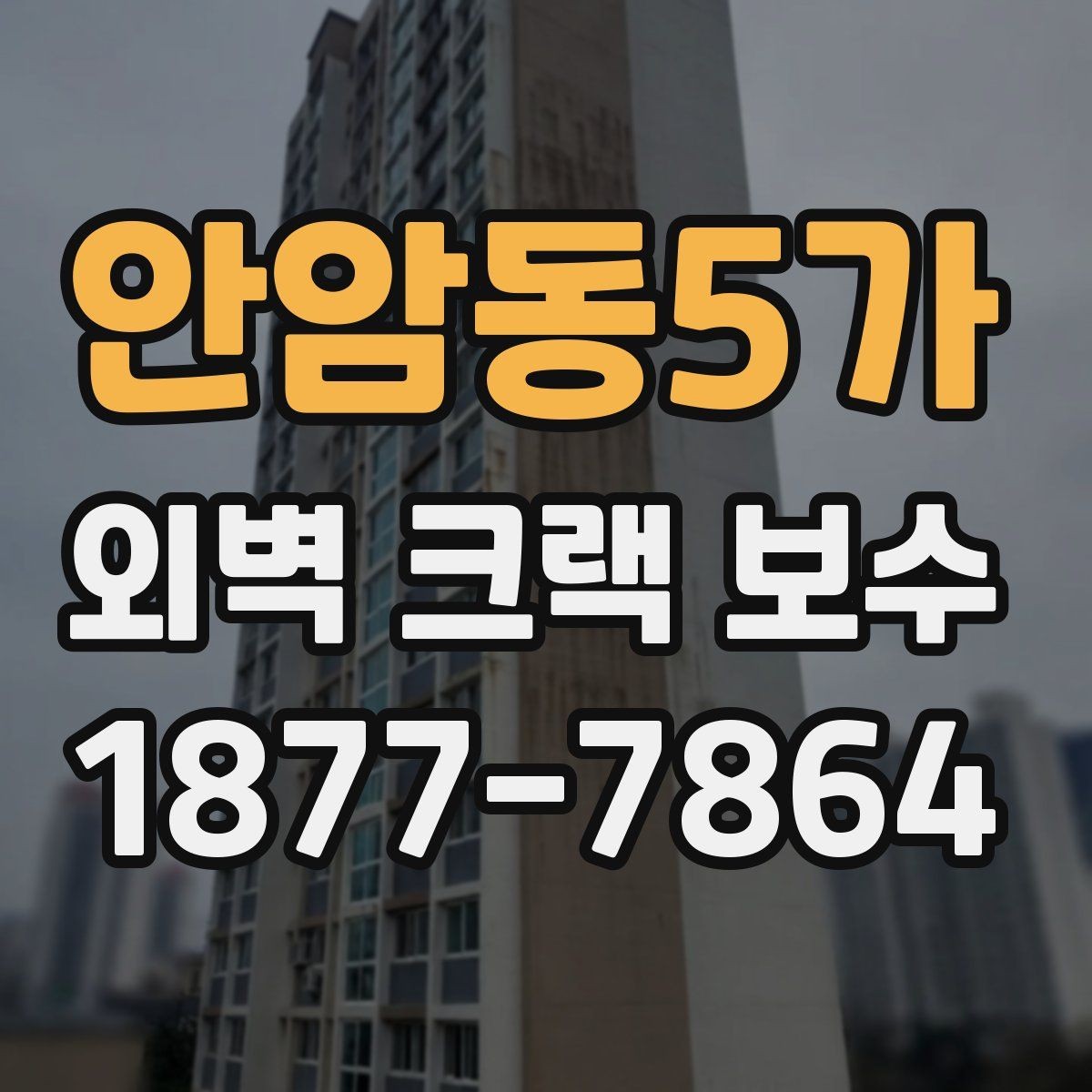 안암동5가 외벽 크랙 보수 비교, 부분 보수와 전체 보수의 차이