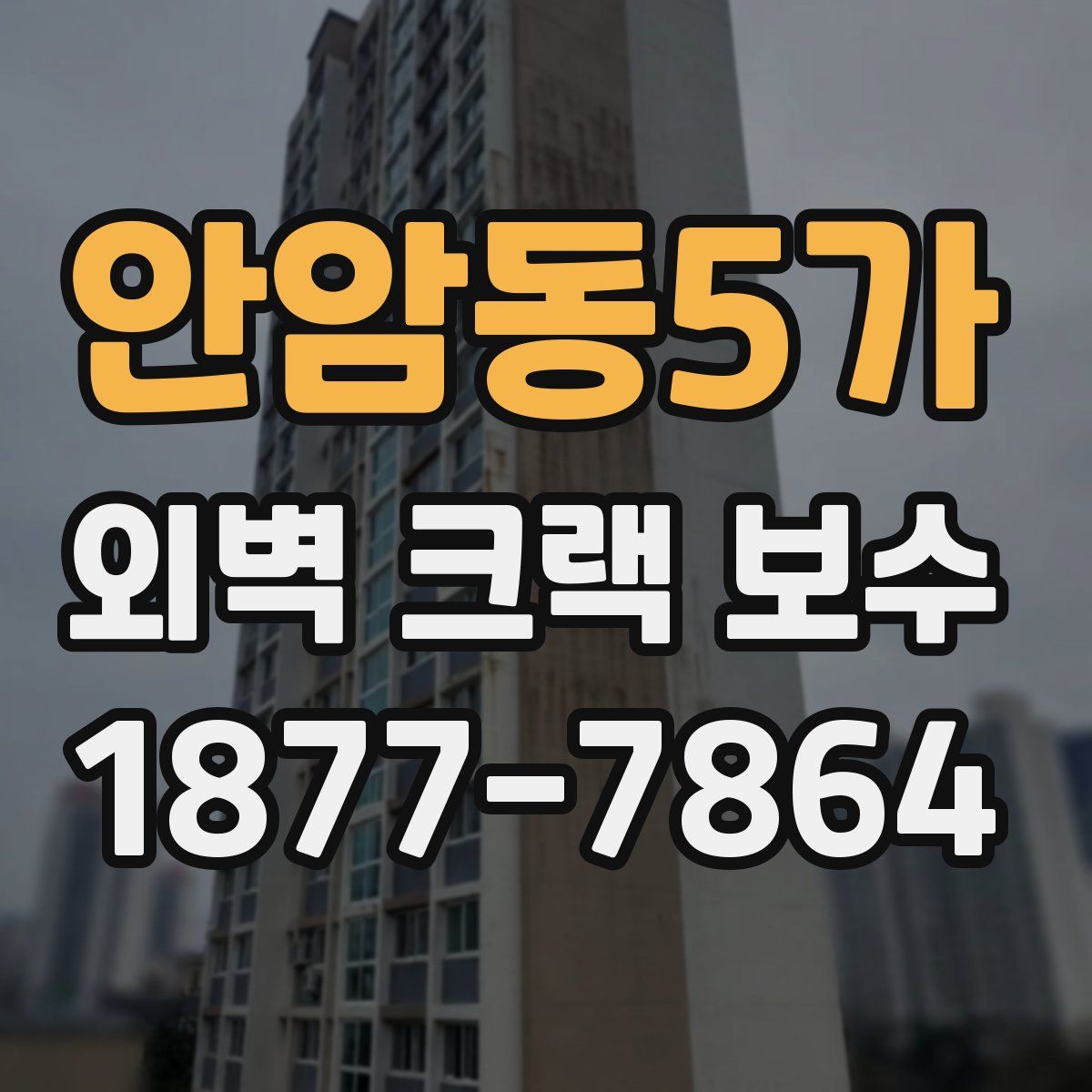 안암동5가 외벽 크랙 보수