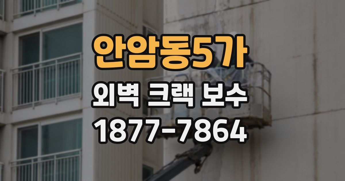 안암동5가 외벽 크랙 보수