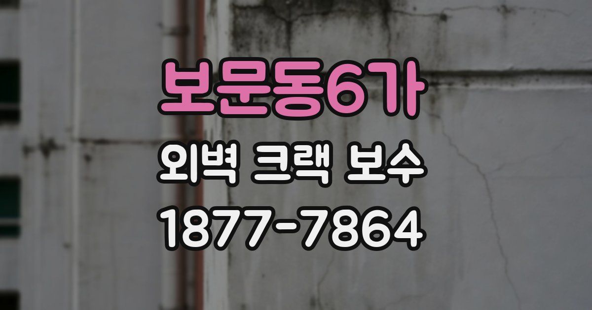 보문동6가 외벽 크랙 보수