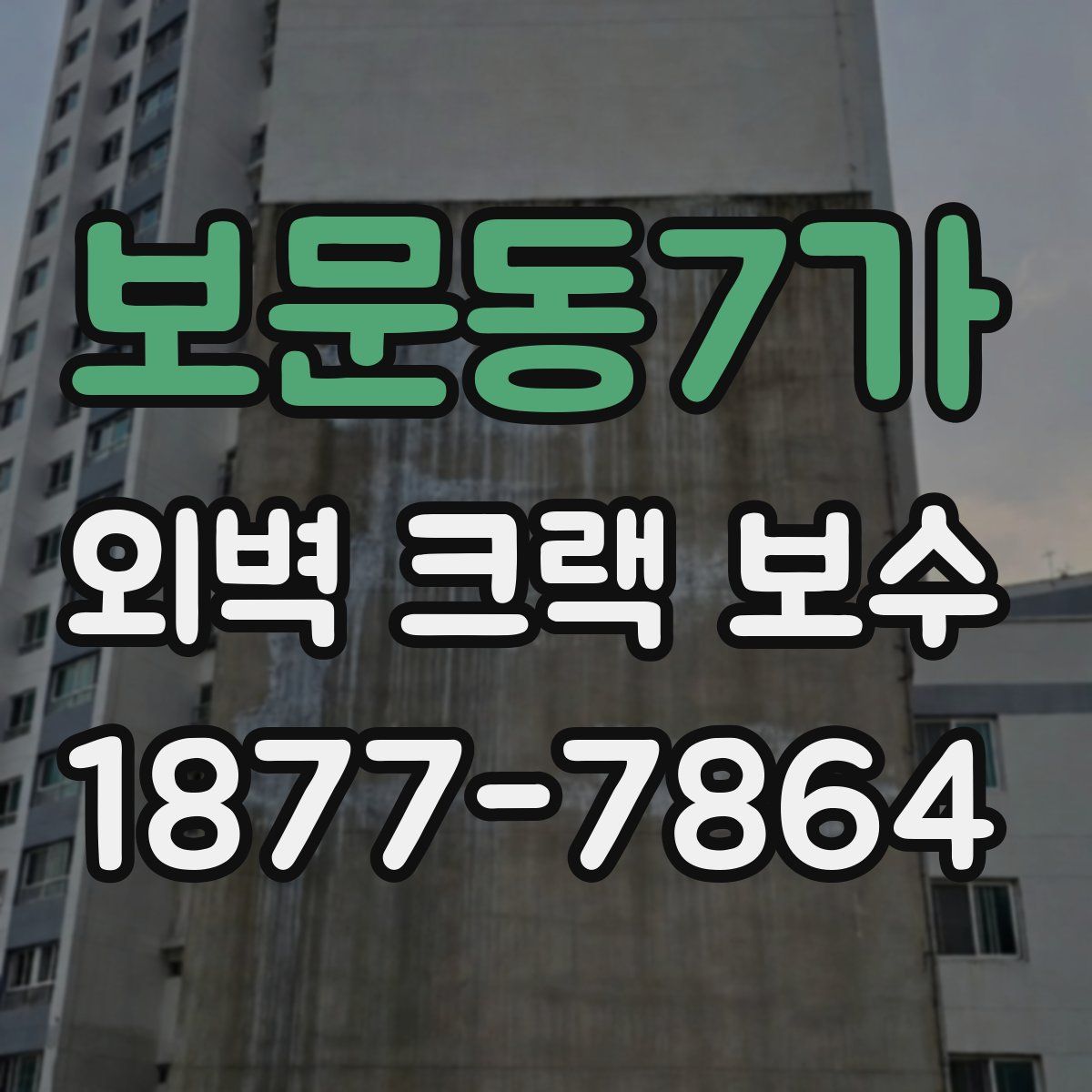 보문동7가 외벽 크랙 보수