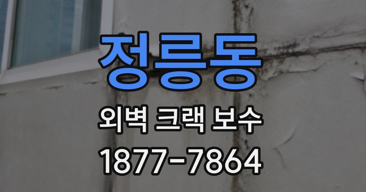 정릉동 외벽 크랙 보수