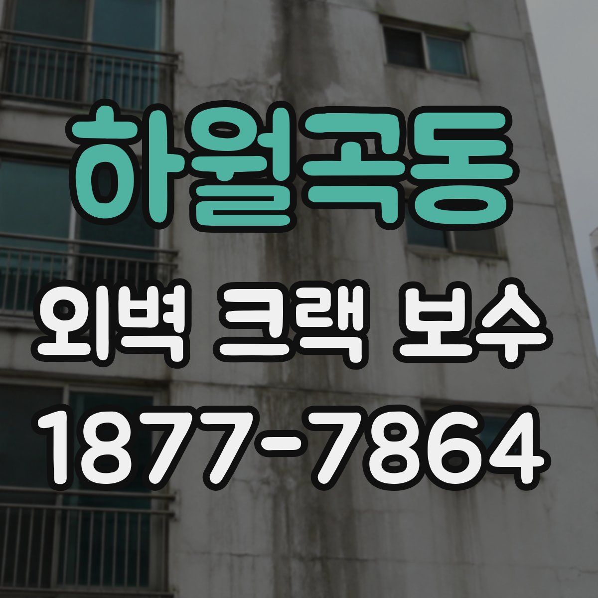 하월곡동 외벽 크랙 보수