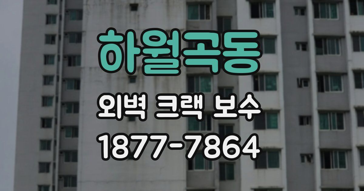 하월곡동 외벽 크랙 보수