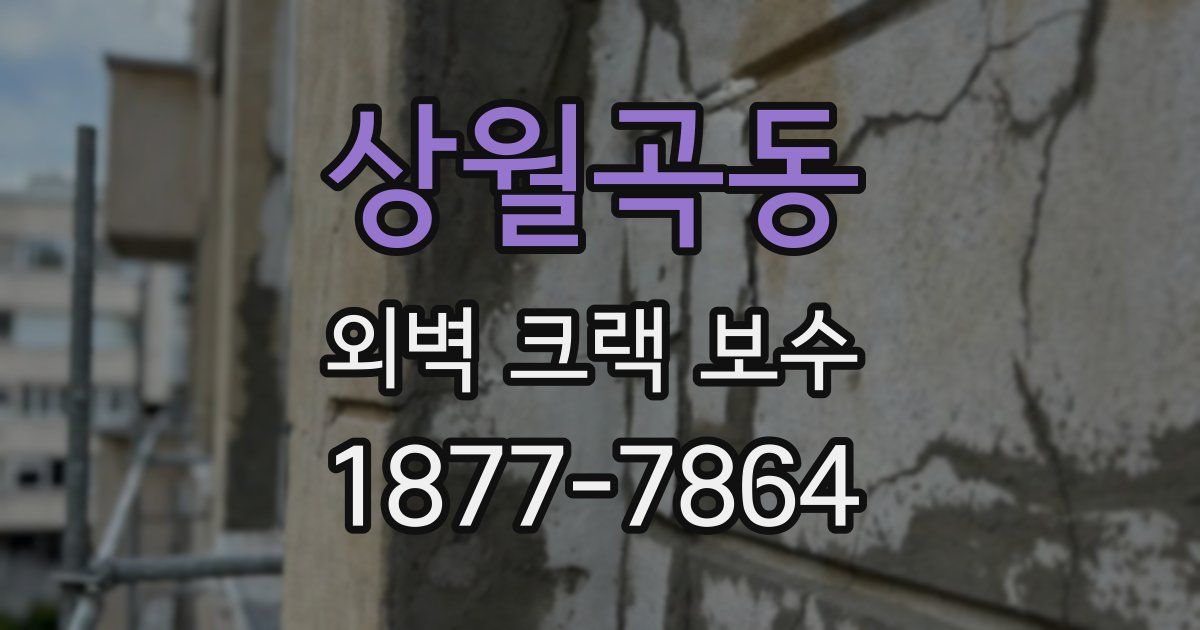 상월곡동 외벽 크랙 보수