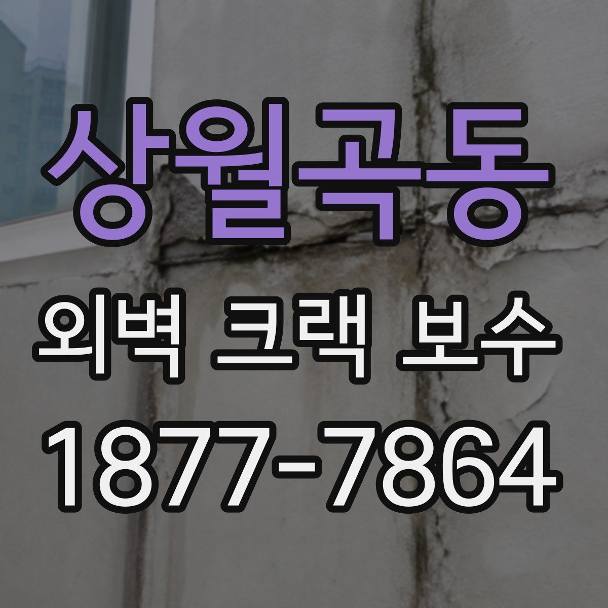 상월곡동 외벽 크랙 보수