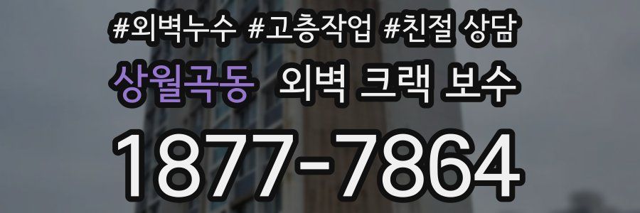상월곡동 외벽 크랙 보수