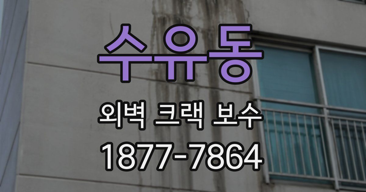 수유동 외벽 크랙 보수