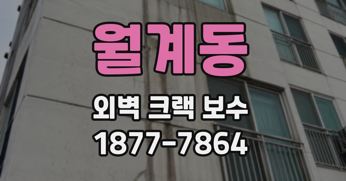 월계동 외벽 크랙 보수