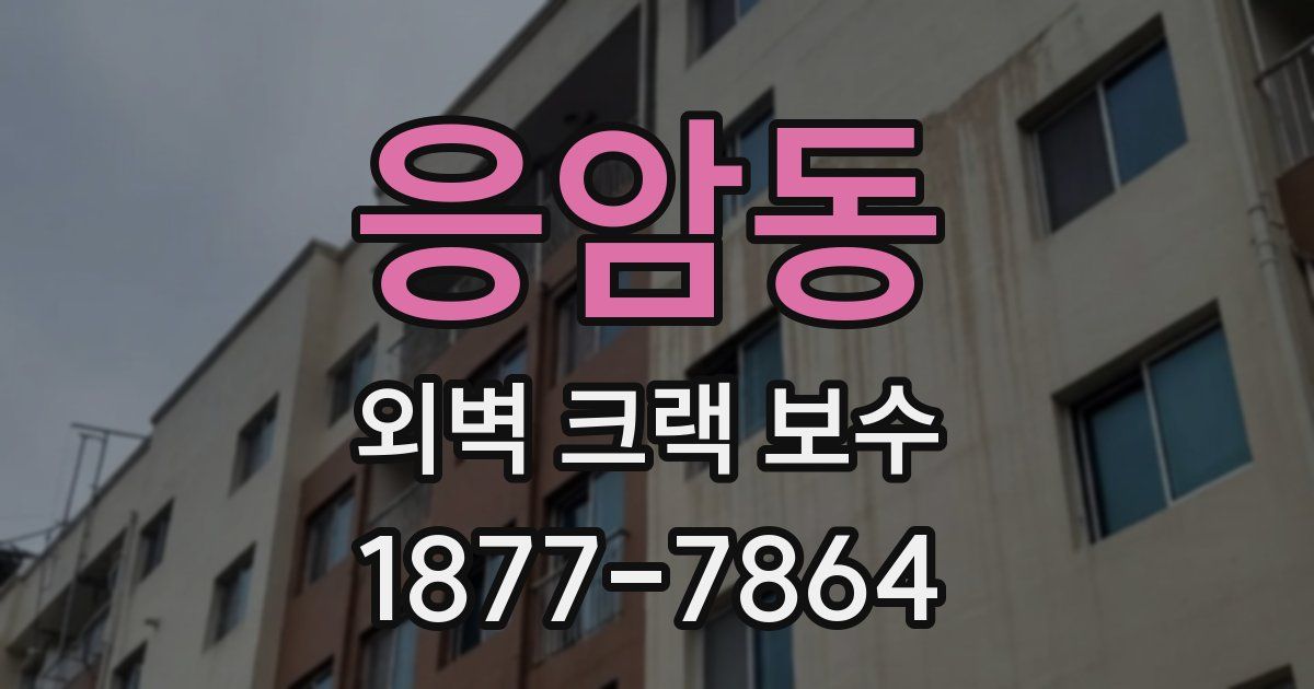 응암동 외벽 크랙 보수