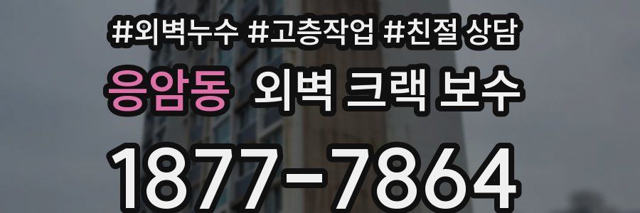 응암동 외벽 크랙 보수