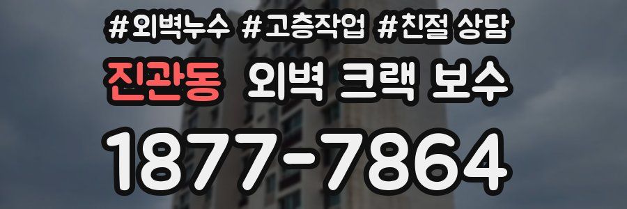 진관동 외벽 크랙 보수