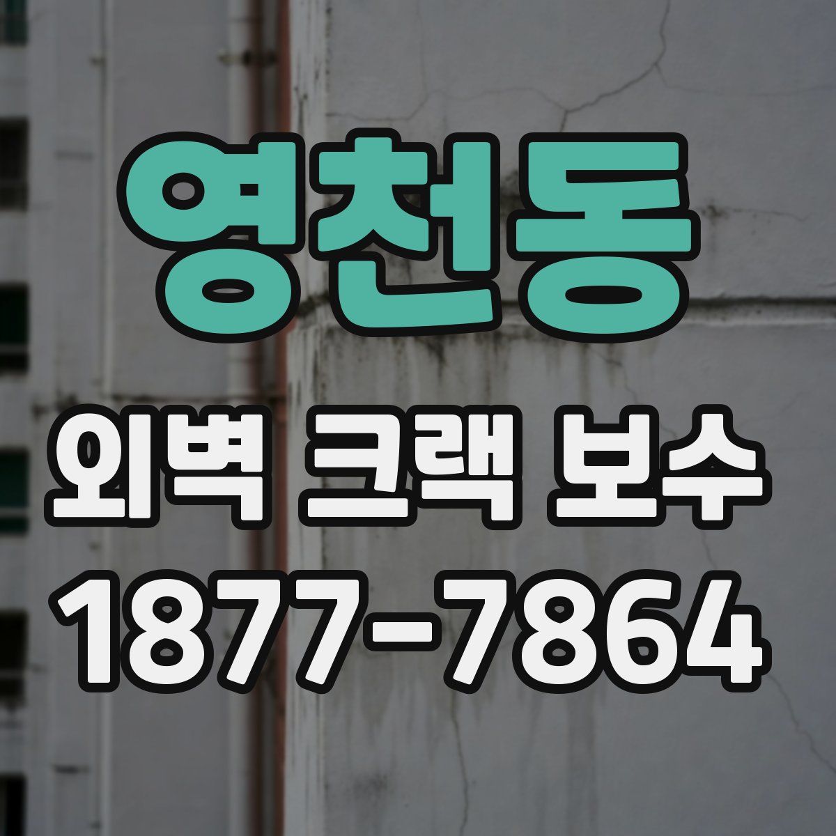 영천동 외벽 크랙 보수