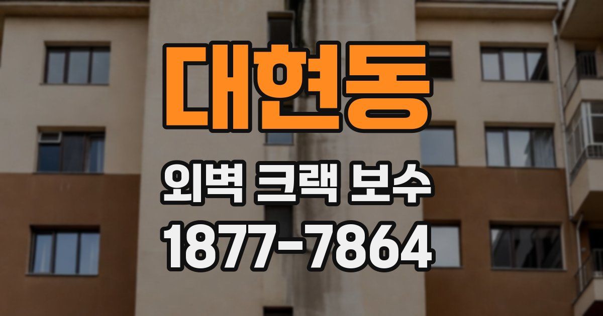 대현동 외벽 크랙 보수