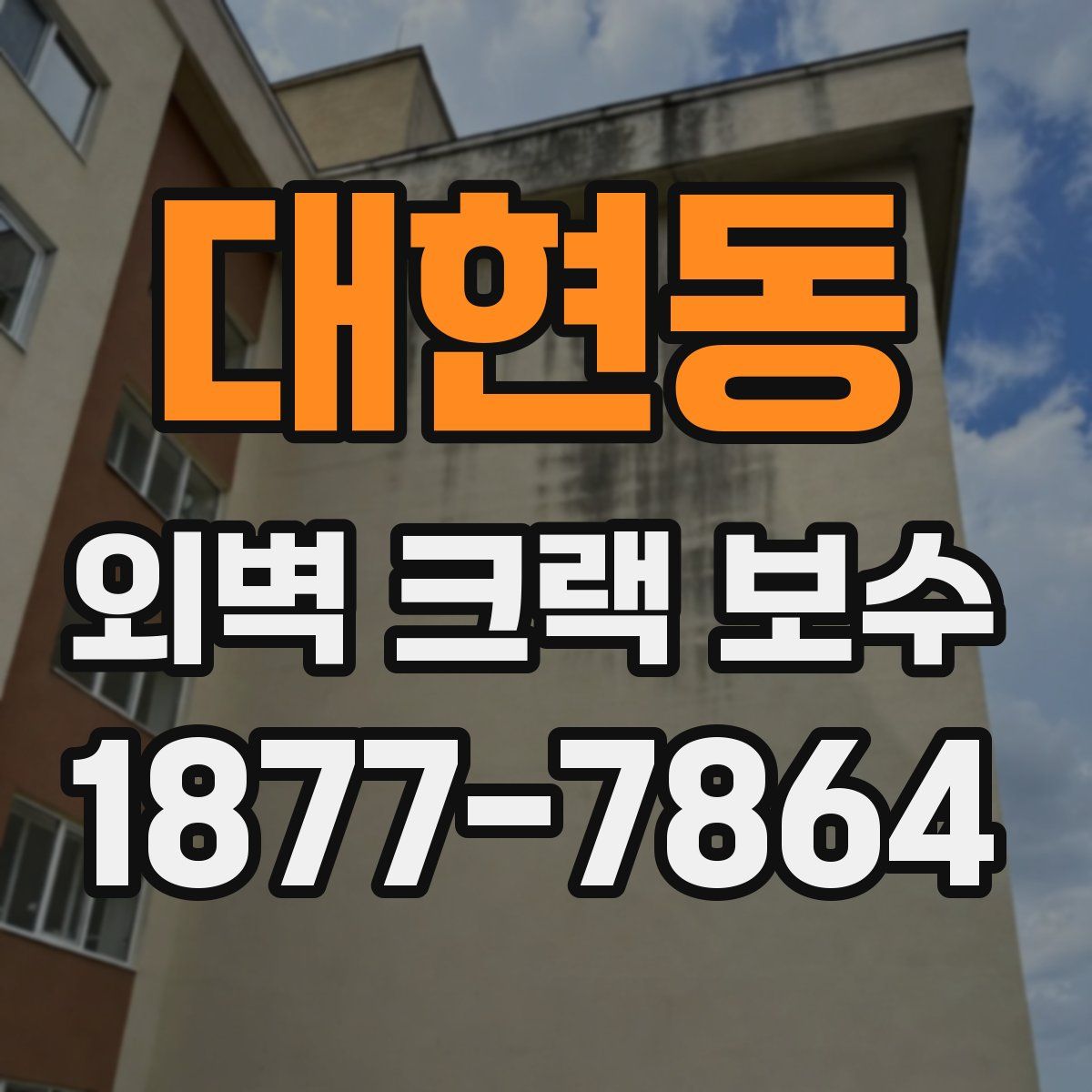 대현동 외벽 크랙 보수