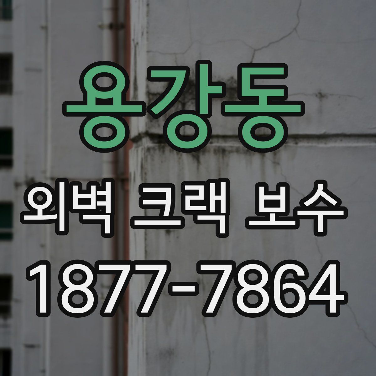 용강동 외벽 크랙 보수