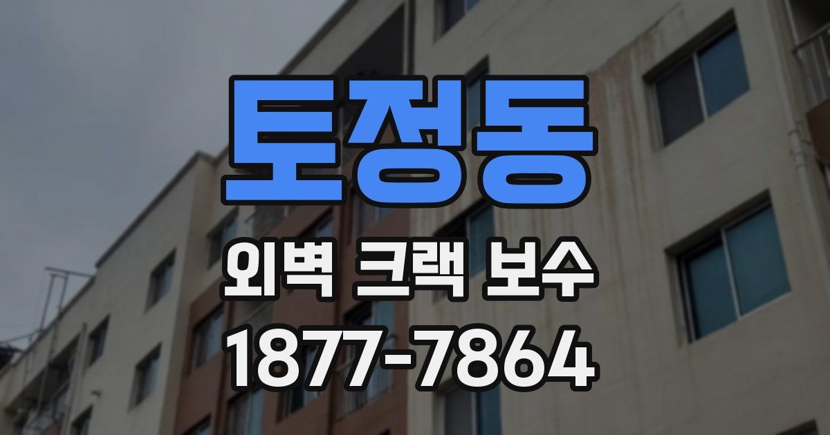 토정동 외벽 크랙 보수
