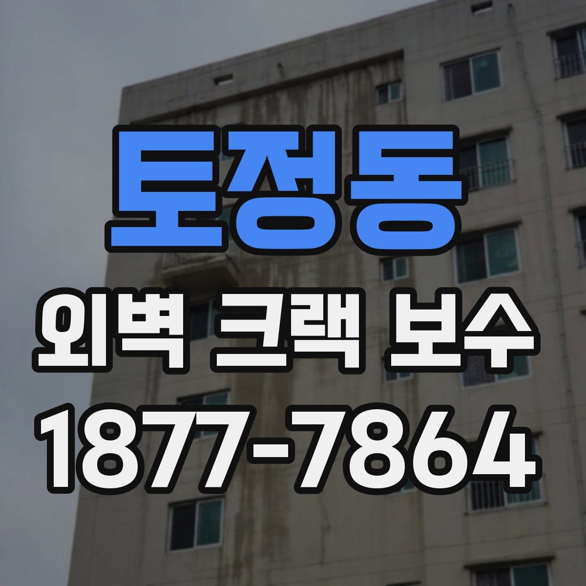 토정동 외벽 크랙 보수