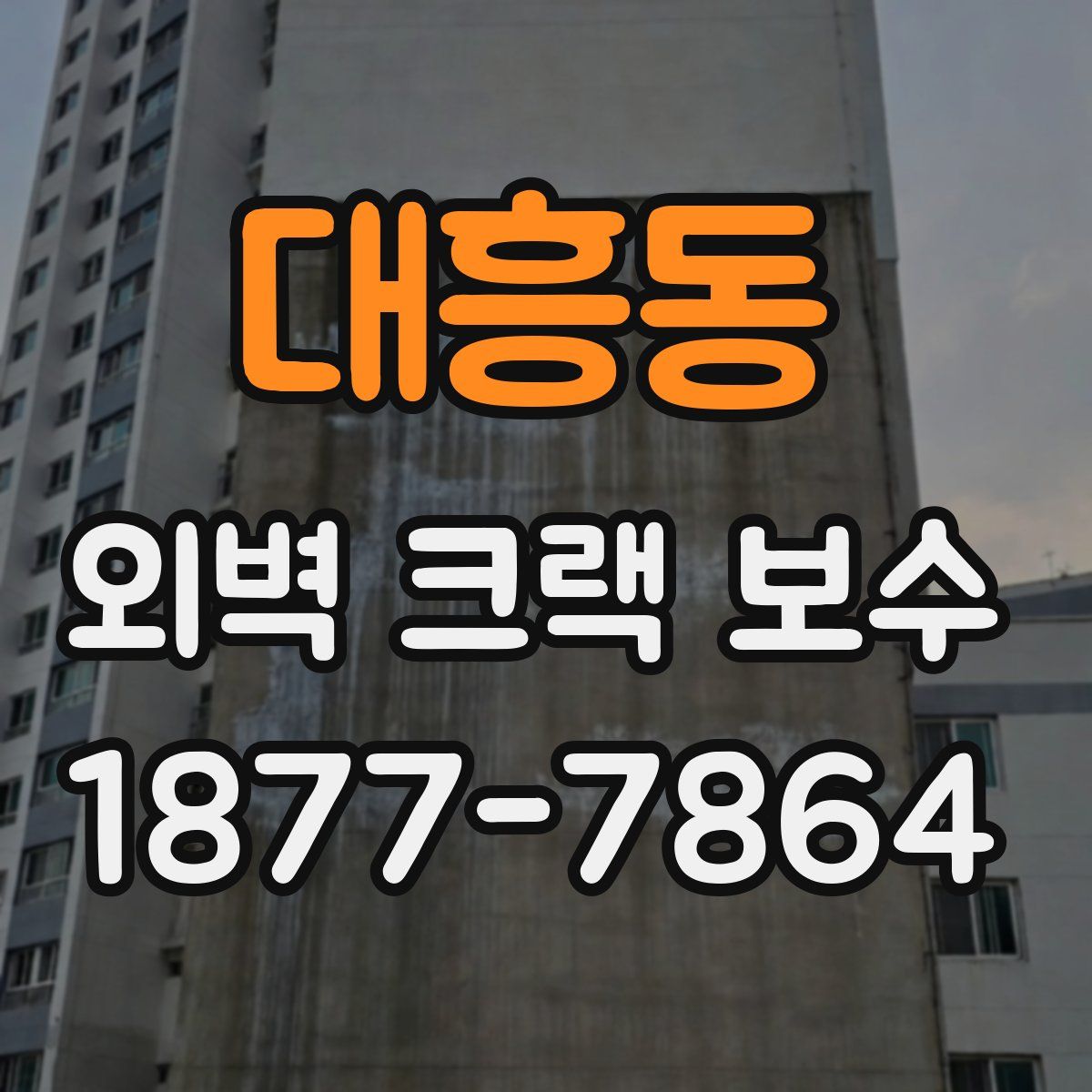 대흥동 외벽 크랙 보수