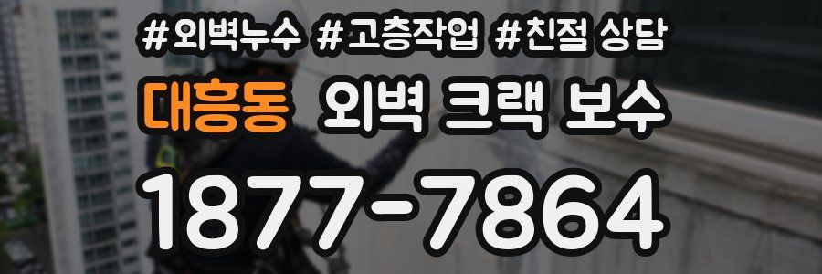 대흥동 외벽 크랙 보수