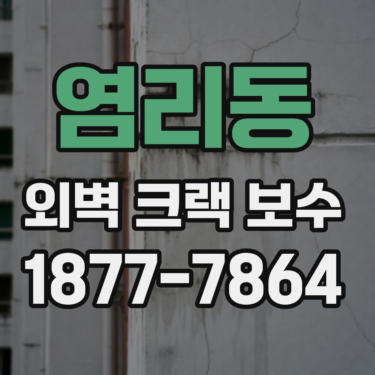 염리동 외벽 크랙 보수 시기, 늦추면 생기는 문제