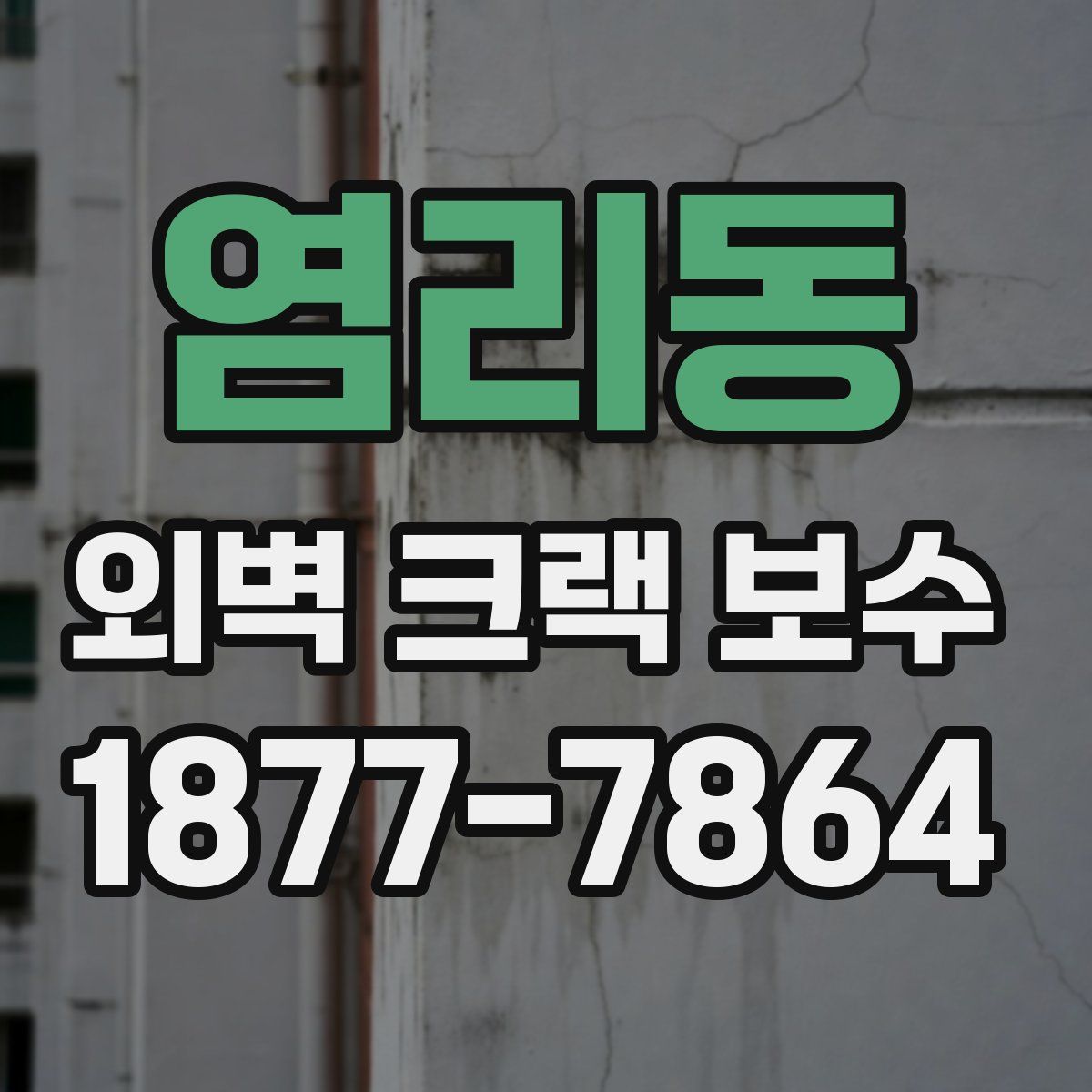 염리동 외벽 크랙 보수