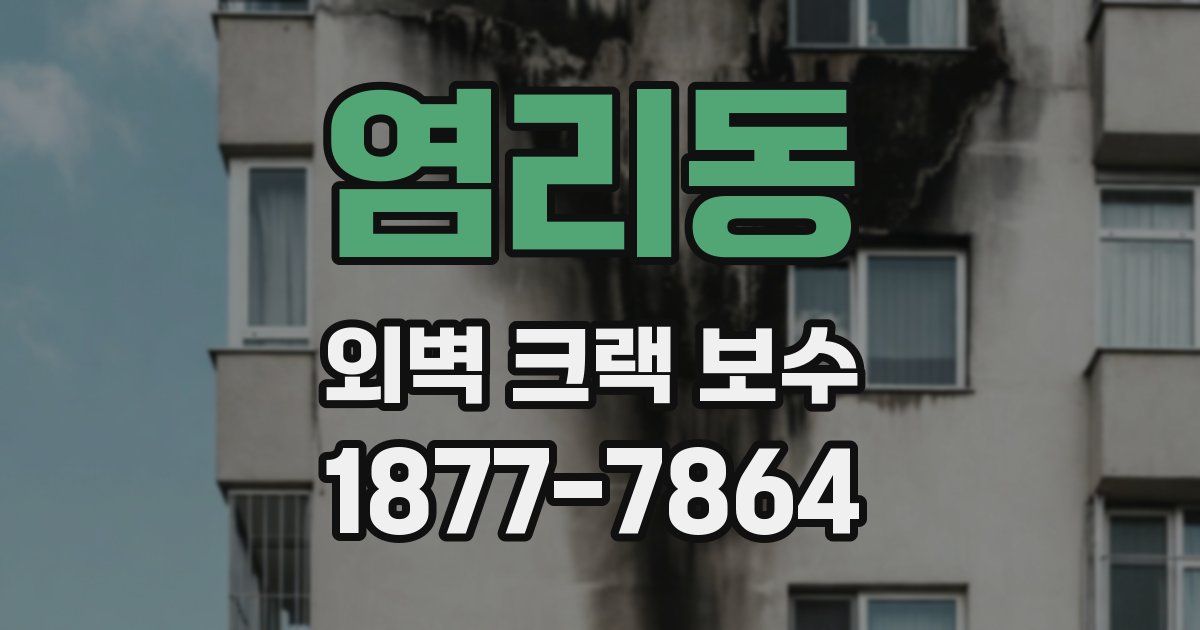 염리동 외벽 크랙 보수