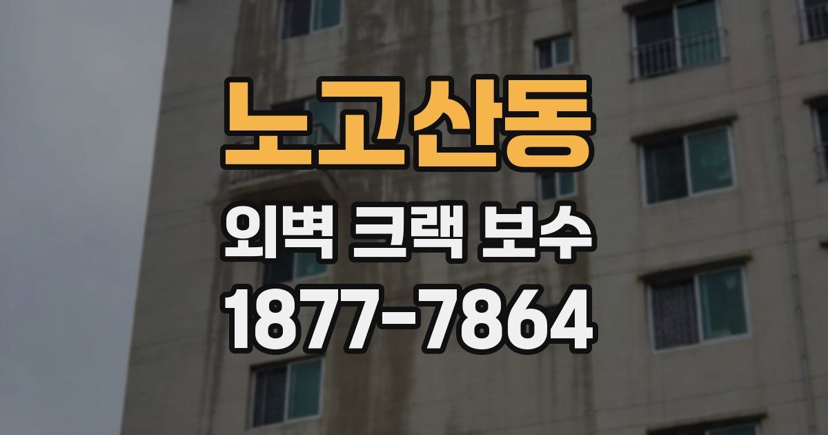 노고산동 외벽 크랙 보수