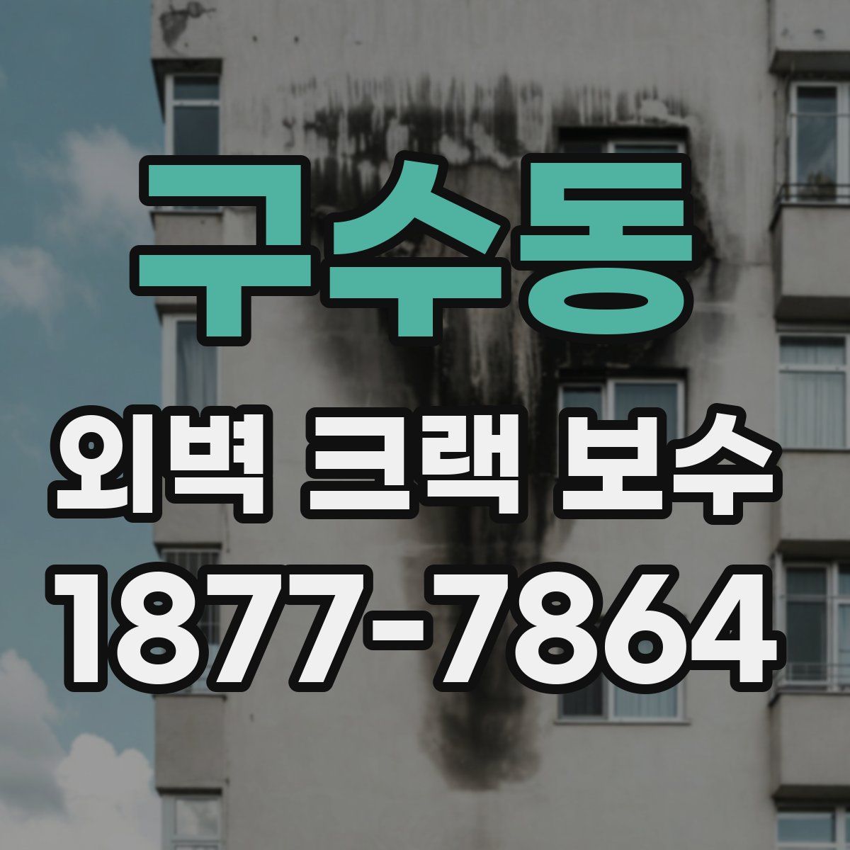 구수동 외벽 크랙 보수