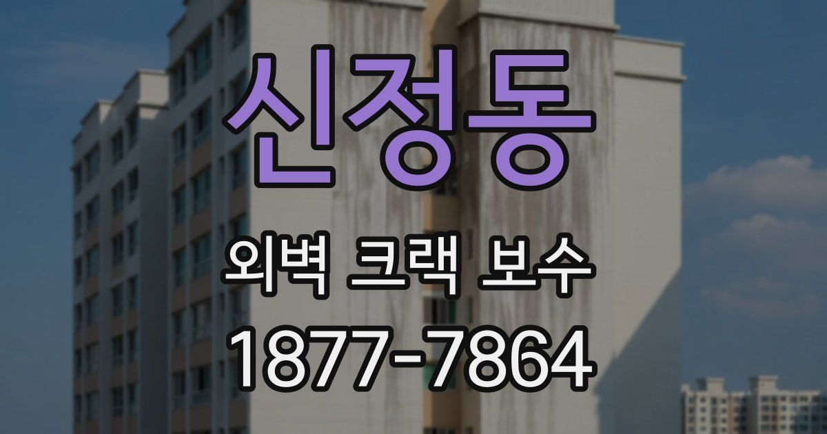신정동 외벽 크랙 보수