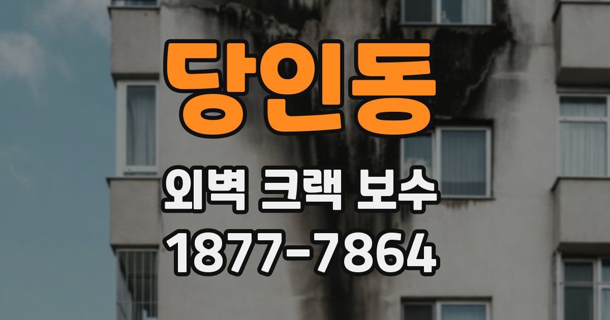 당인동 외벽 크랙 보수