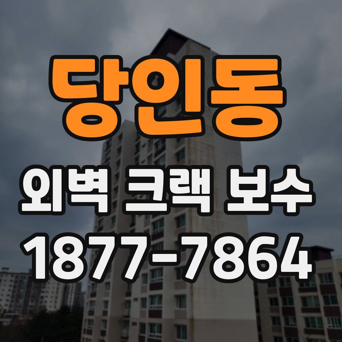 당인동 외벽 크랙 보수
