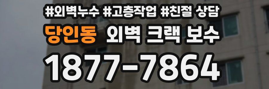 당인동 외벽 크랙 보수