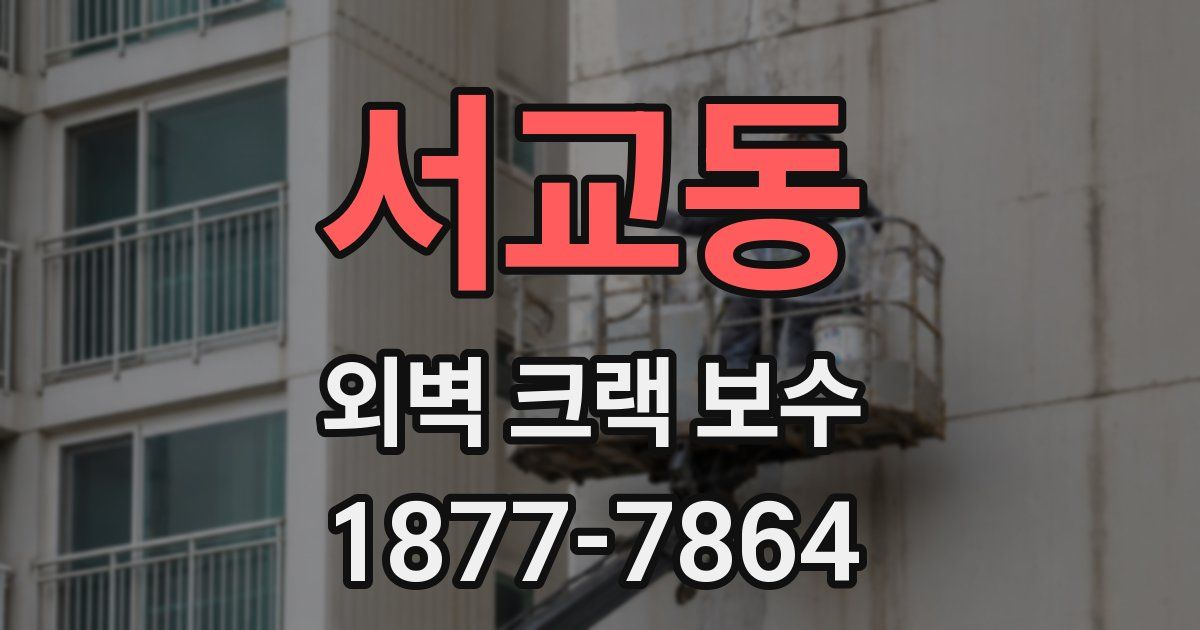 서교동 외벽 크랙 보수