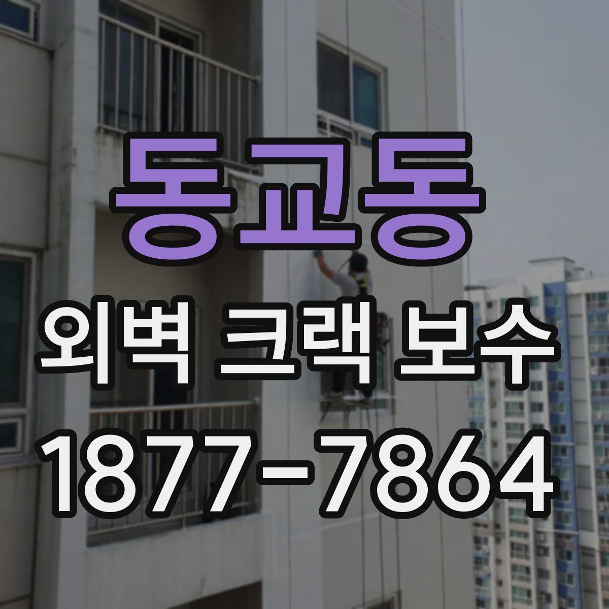 동교동 외벽 크랙 보수