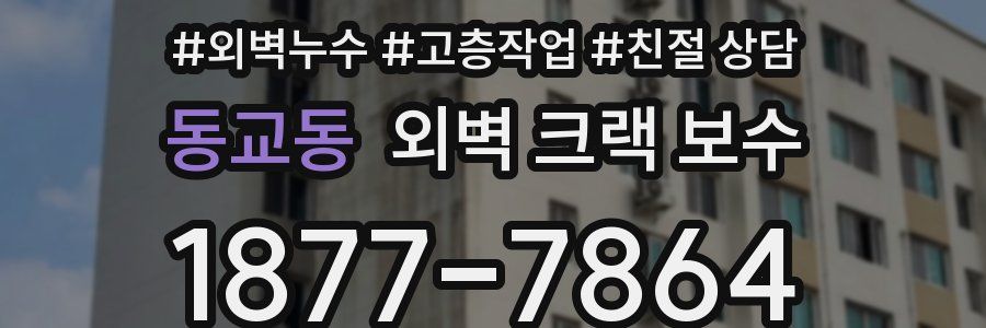 동교동 외벽 크랙 보수