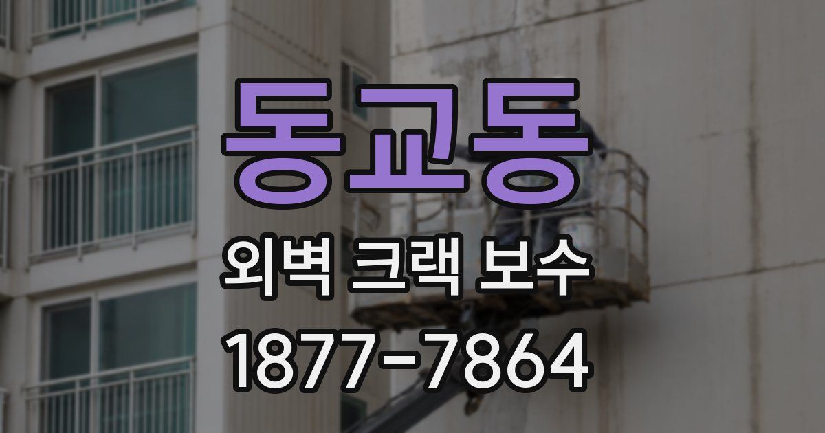 동교동 외벽 크랙 보수